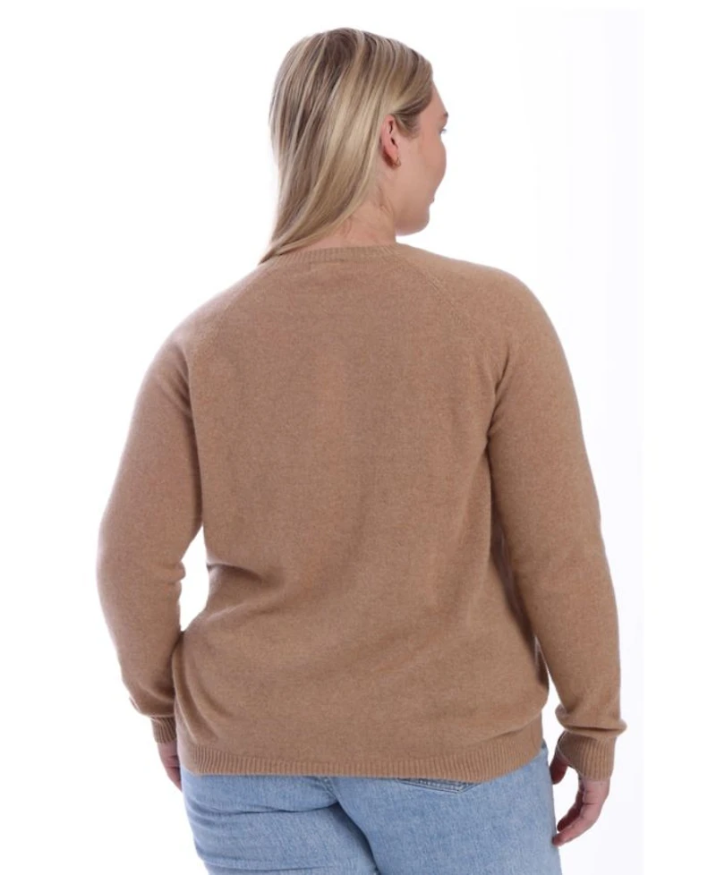 Plus Cashmere Long Sleeve Shrunken Crew Sweater