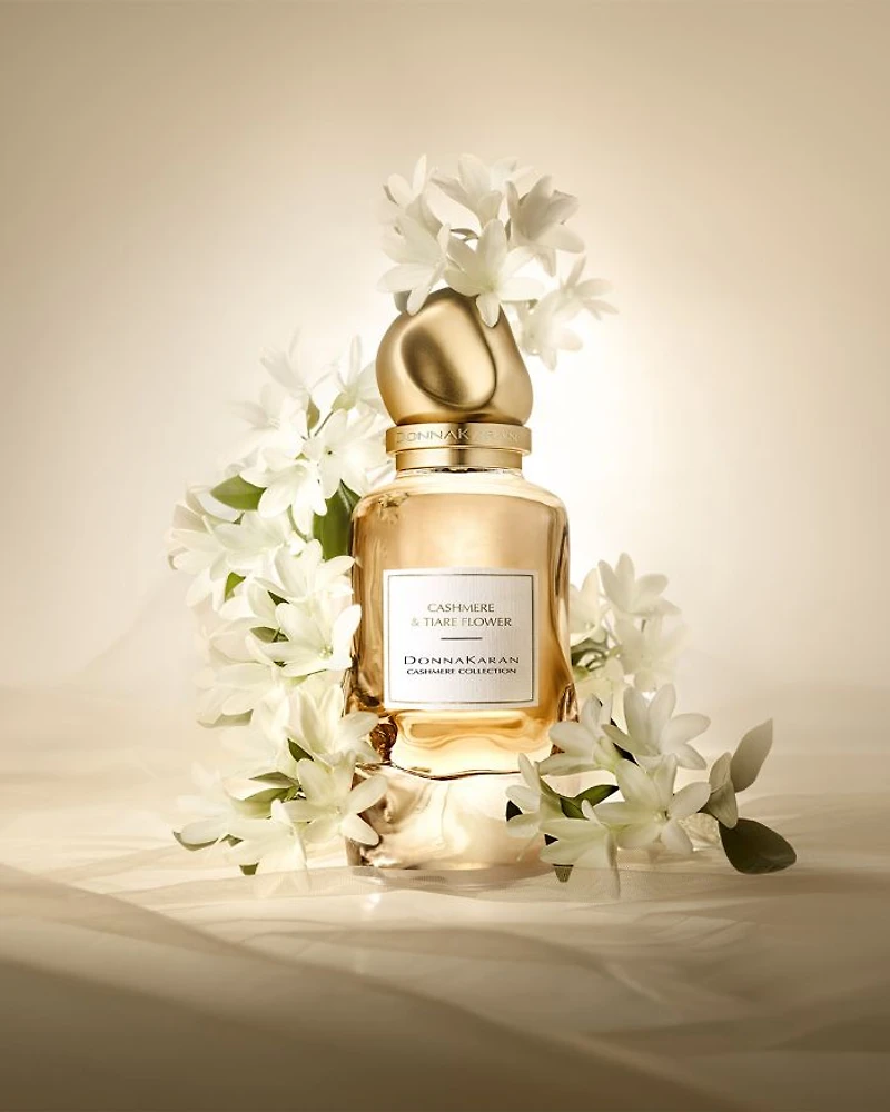 Cashmere Collection Eau de Parfum Discovery Set ($128 value)