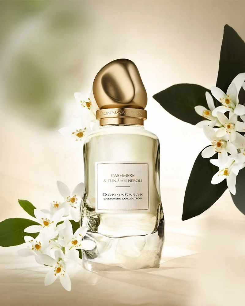 Cashmere Collection Eau de Parfum Discovery Set ($128 value)
