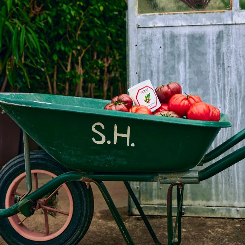 Tomato Candle, 6.5 oz.
