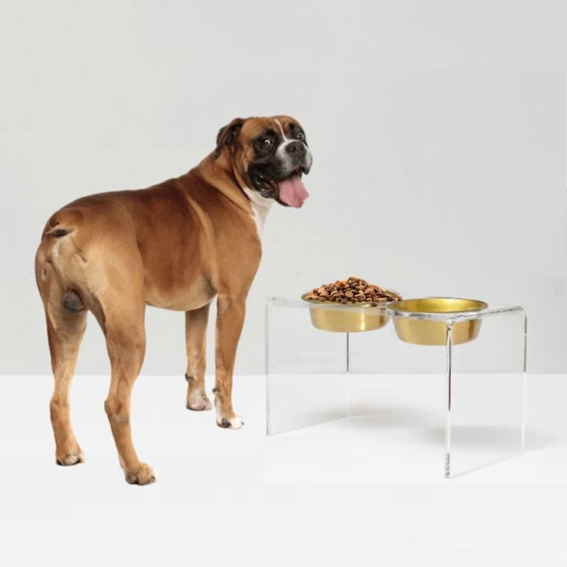 Large Clear Double Bowl Pet Feeder, 2 Quart Bowls