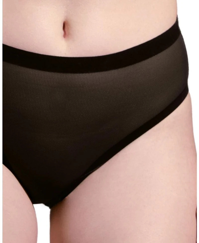 Sheer High Cut Highwaisted Brief