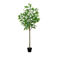 Nearly Natural 6' Artificial Greco Citrus Tree with Real Touch Leaves