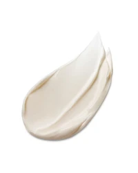 Advanced Night Repair Overnight Treatment 2 oz.