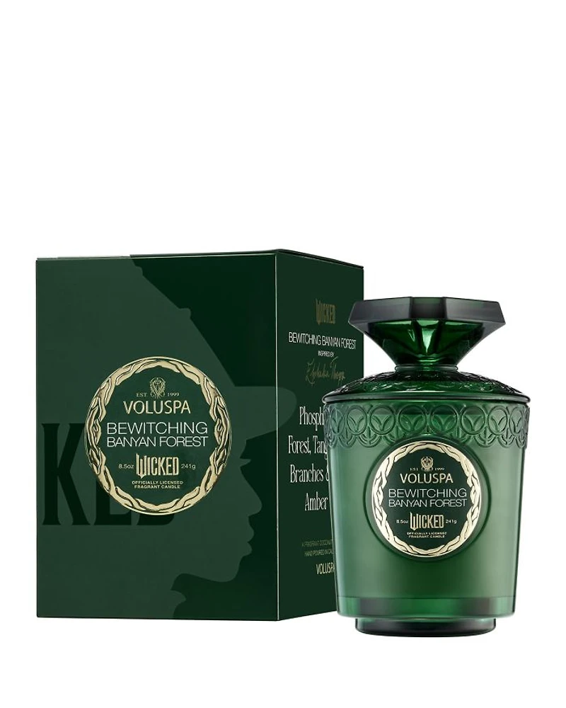 Limited Edition Wicked Bewitching Banyan Forest Boxed Candle, 8.5 oz