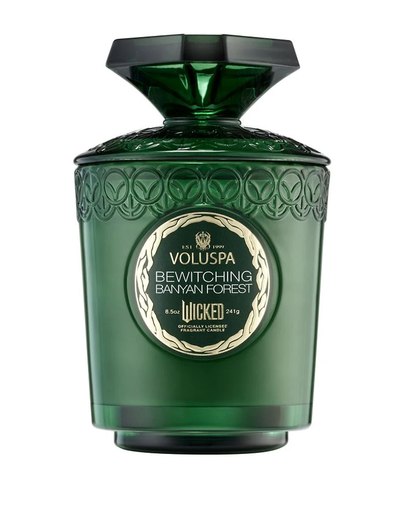 Limited Edition Wicked Bewitching Banyan Forest Boxed Candle, 8.5 oz