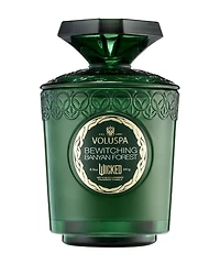 Limited Edition Wicked Bewitching Banyan Forest Boxed Candle, 8.5 oz