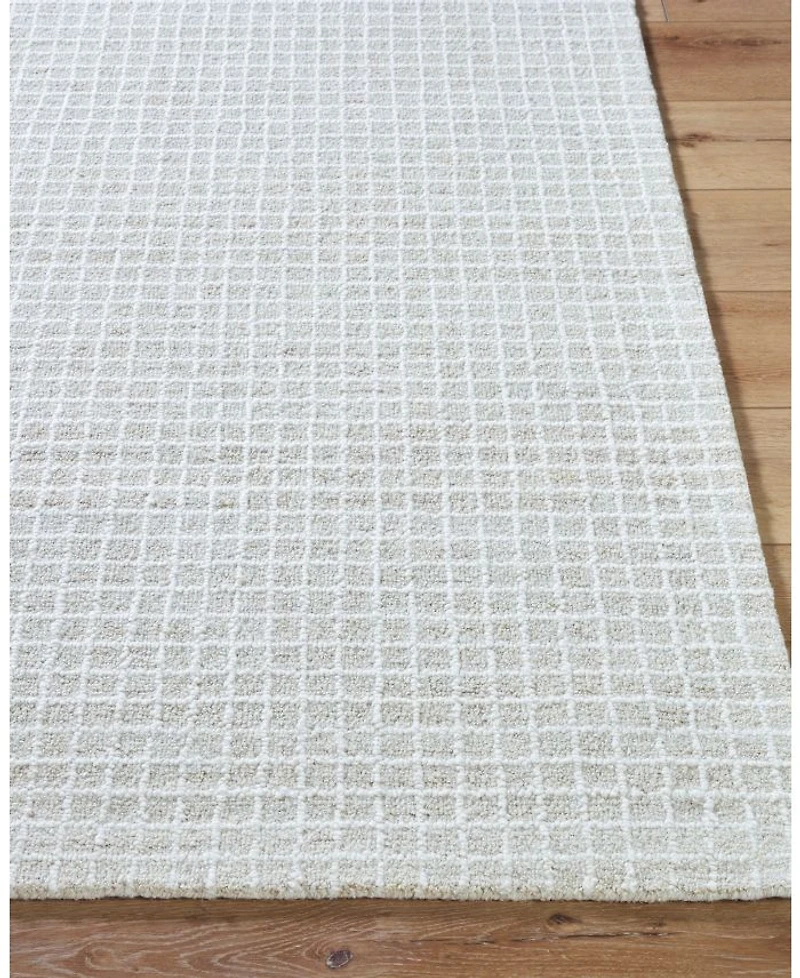 Livabliss Andreas VVAN-2300 Area Rug Collection