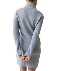 Maternity Sweater Dress