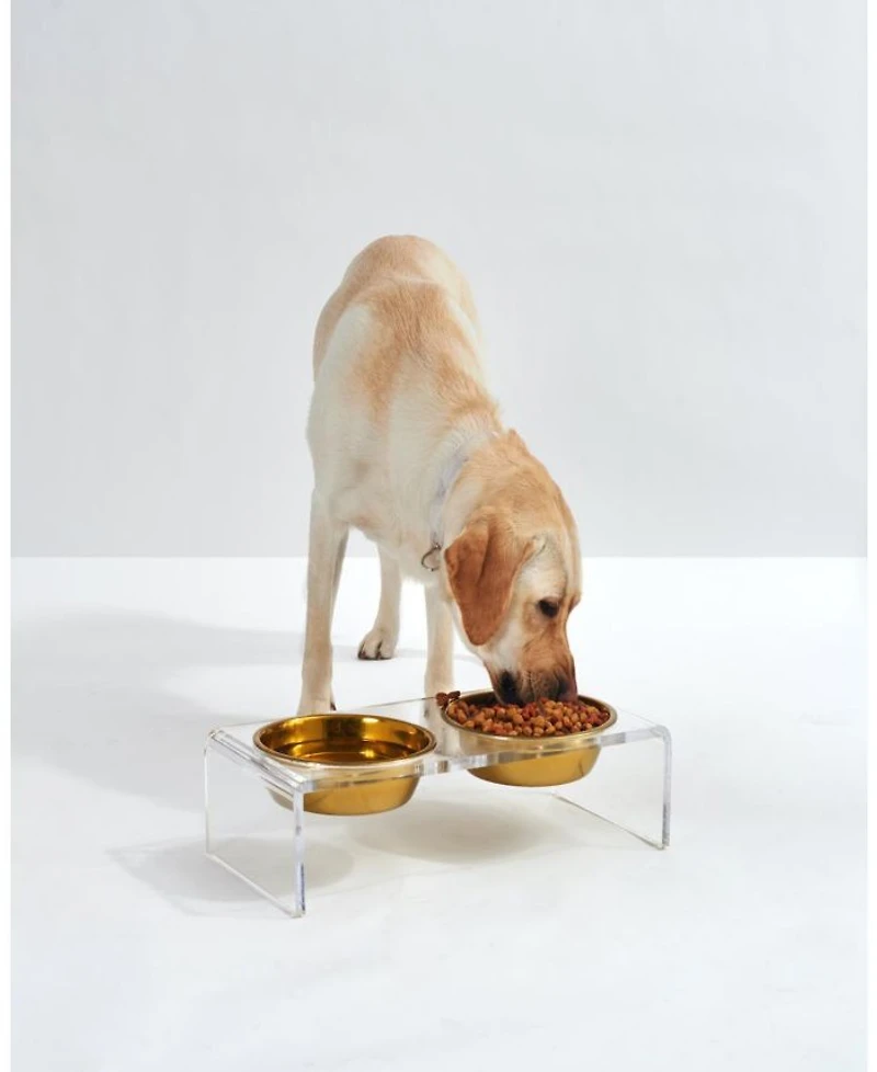 Small Clear Double Bowl Pet Feeder, 1 Quart Bowls