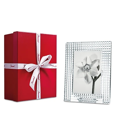 Baccarat Clear Eye Frame, 4 x 6