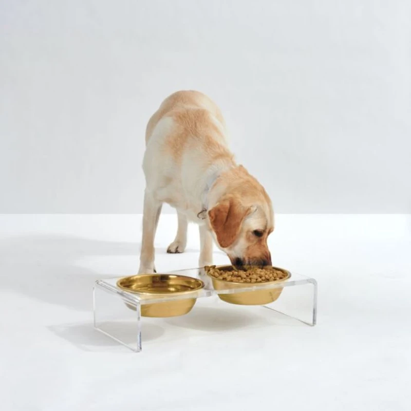 Small Clear Double Bowl Pet Feeder, 1 Quart Bowls