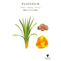 Totem Platinum Luxury Medium Bottle Diffuser, 67.6 oz.