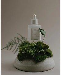 Niacinamide Heartleaf Calming Serum