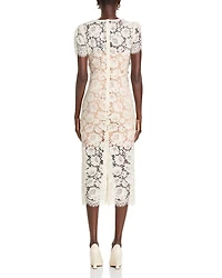 Fine Lace Embellished Midi Dress