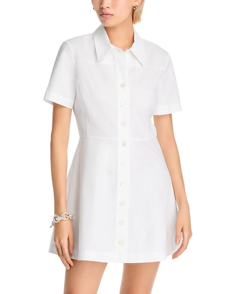 The Flare Mini Dress