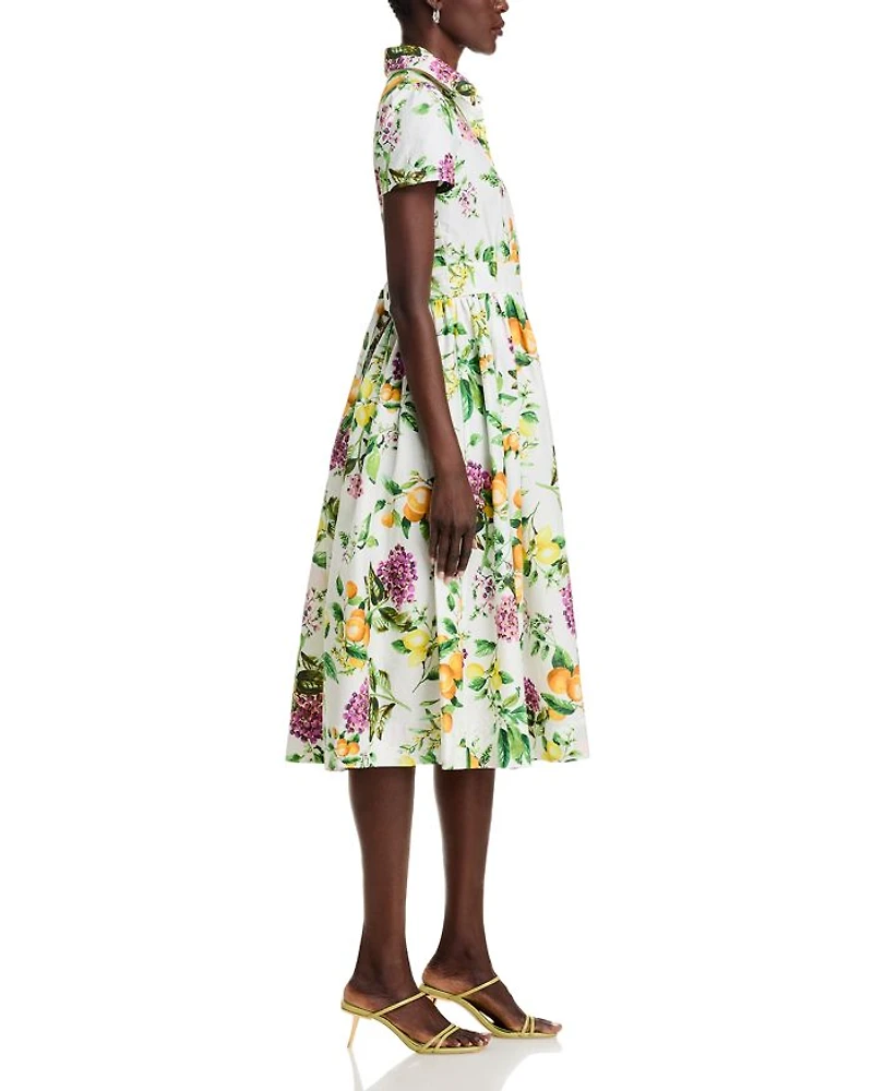 Lemon Print Fit & Flare Poplin Shirt Dress - Exclusive