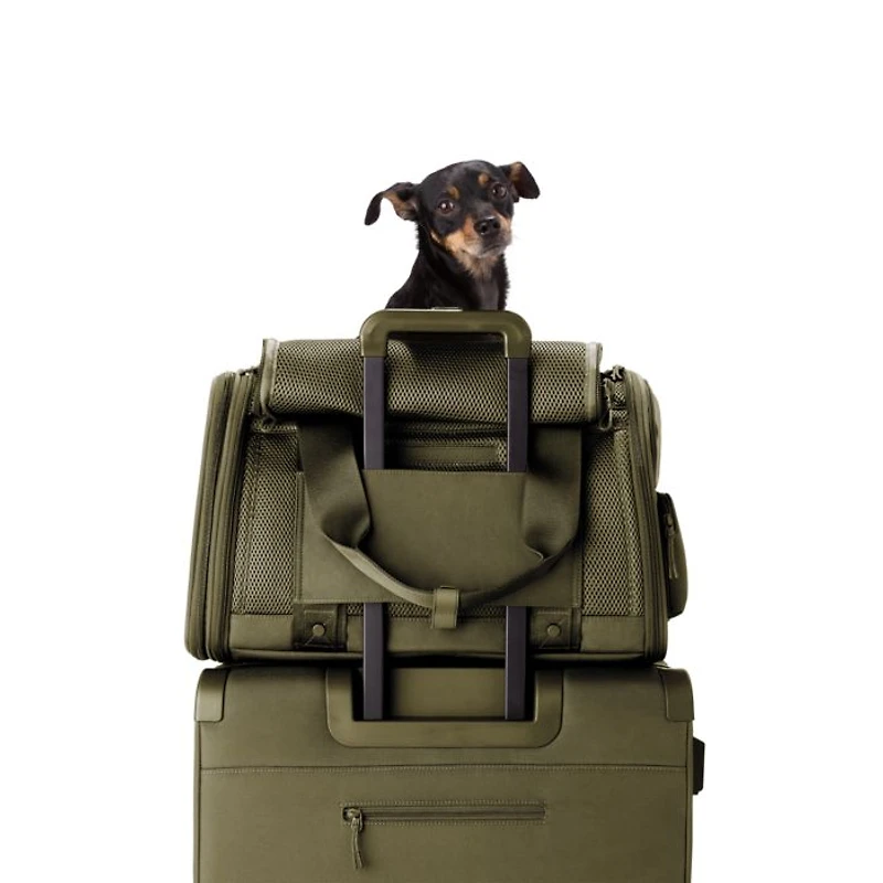 Large Kyoto Pet Carrier