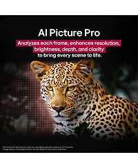 OLED42C5PUA 42" 4K UHD OLED evo C5 Smart TV