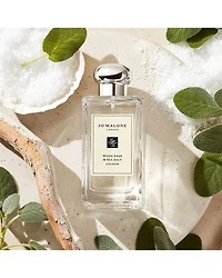 Wood Sage & Sea Salt Discovery Set ($150 value)