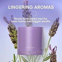 Lavendare Standard Candle, 8.5 oz.