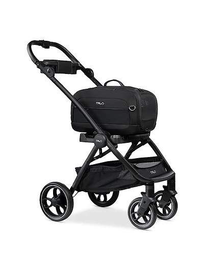 Tavo Dupree I Pet Travel System