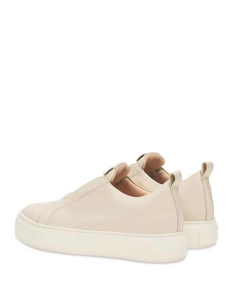 Women's Clementina Gesso Sneakers
