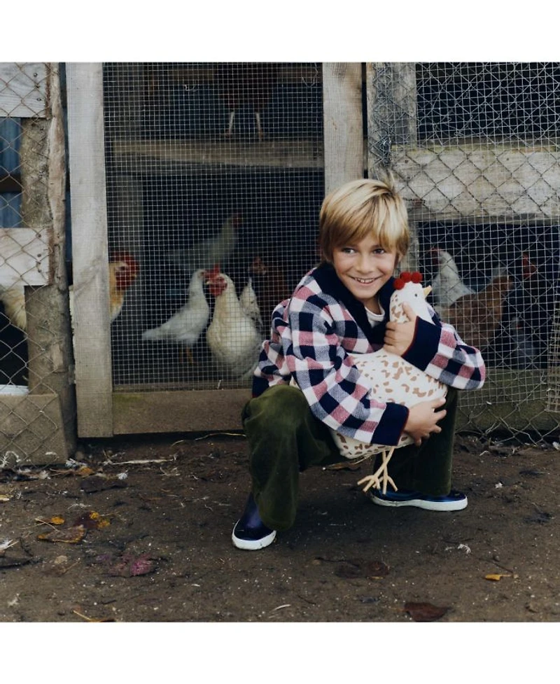 Chicken Cushion
