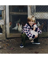 Chicken Cushion