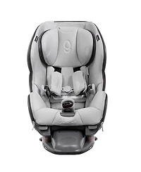 babyark Classic Car Seat