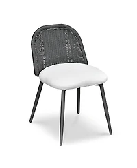 Tov Furniture Alexa Rattan Performance Fabric Dining Chair