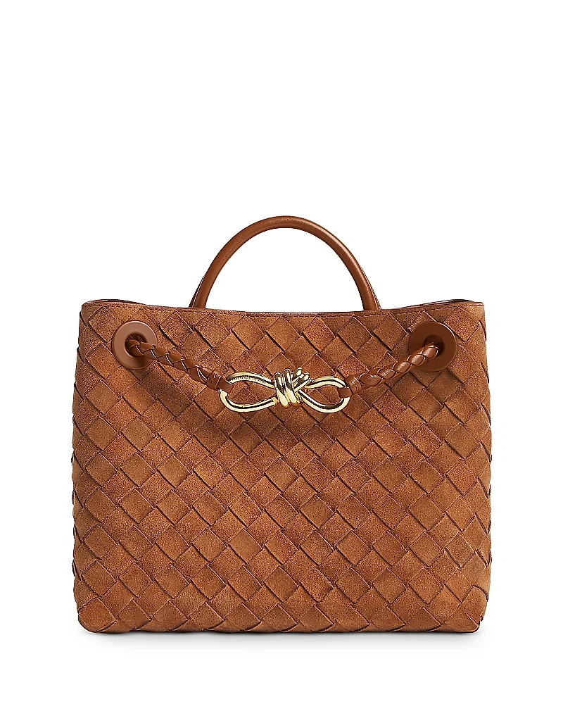 Bottega Veneta Small Andiamo Top Handle Bag