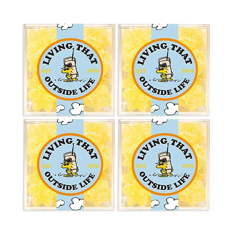Sugarfina Snoopy Living That Outside Life Candy Cubes, Set of 4