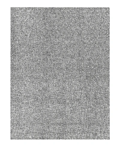 Exquisite Rugs Caprice 4765 Area Rug 8'X10'