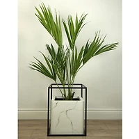 Kentia Palm Faux Plant Arrangement