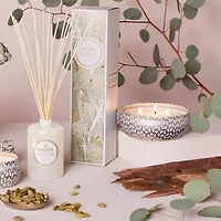 Eucalyptus & White Sage Three Wick Tin Candle 12 oz.