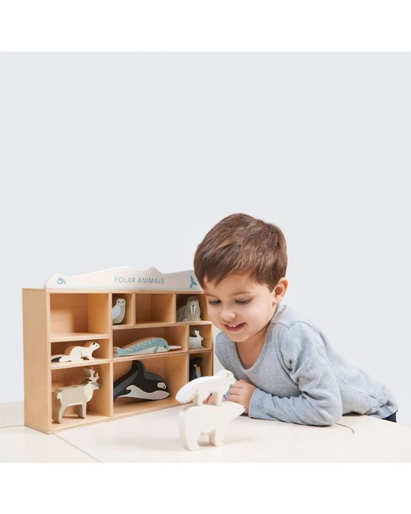 Polar Animals - Ages 3+