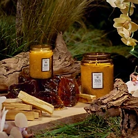 Japonica Baltic Amber Candle Collection