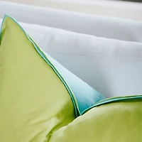 Blue/Green Two-Toned Decorative Pillow, 22" x 22"