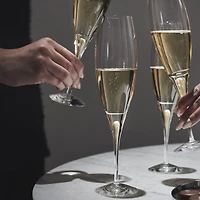 Intermezzo Gold Champagne Glasses, Set of 2