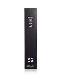 Blush Brush