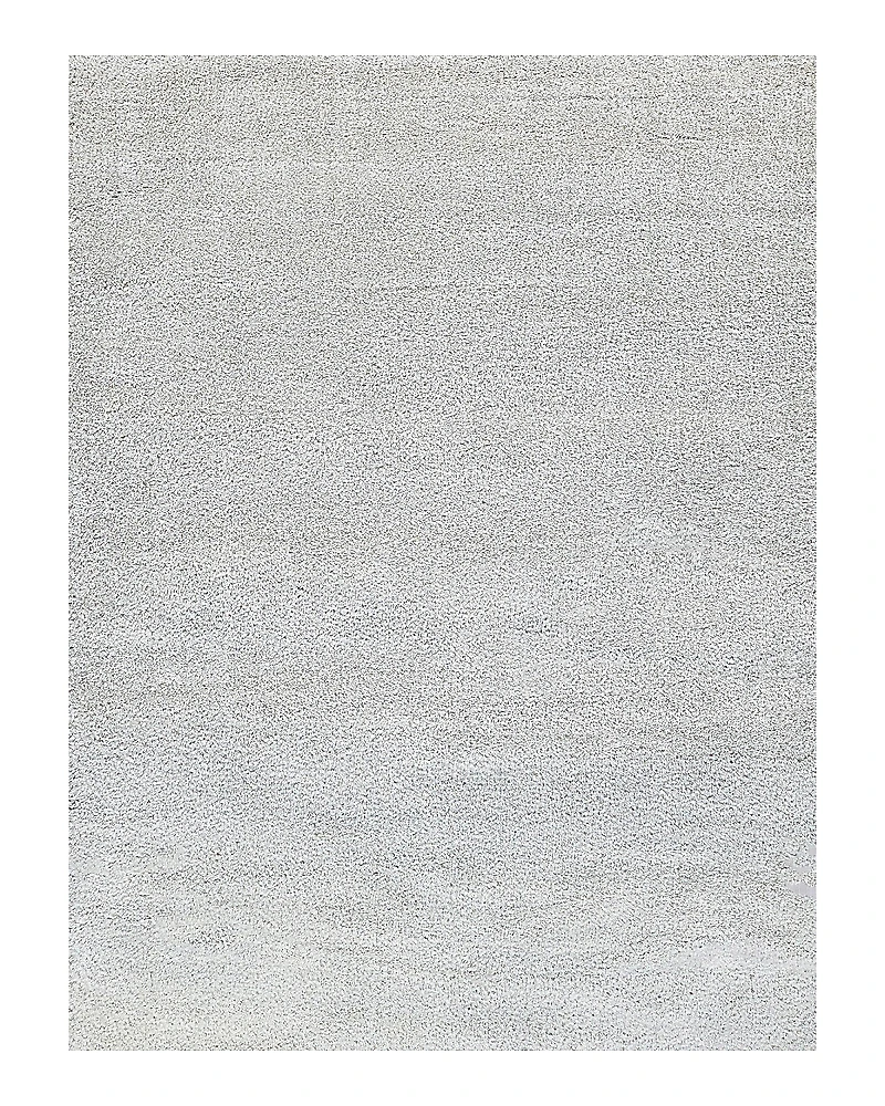 Exquisite Rugs Luxe Shag Area Rug