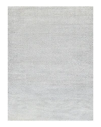 Exquisite Rugs Luxe Shag Area Rug