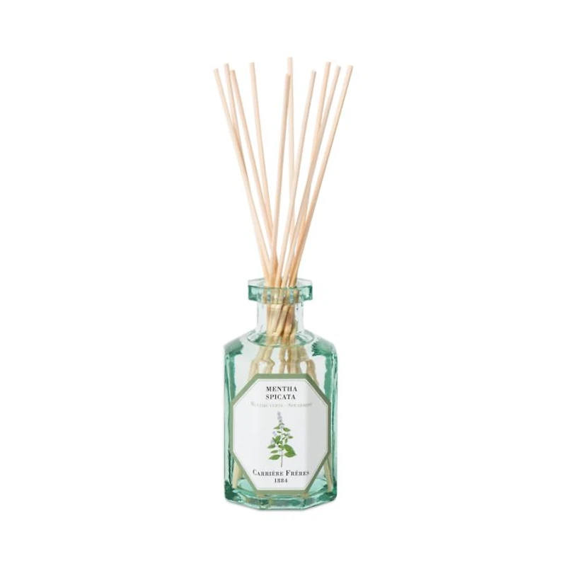 Spearmint Reed Diffuser, 6.8 oz.
