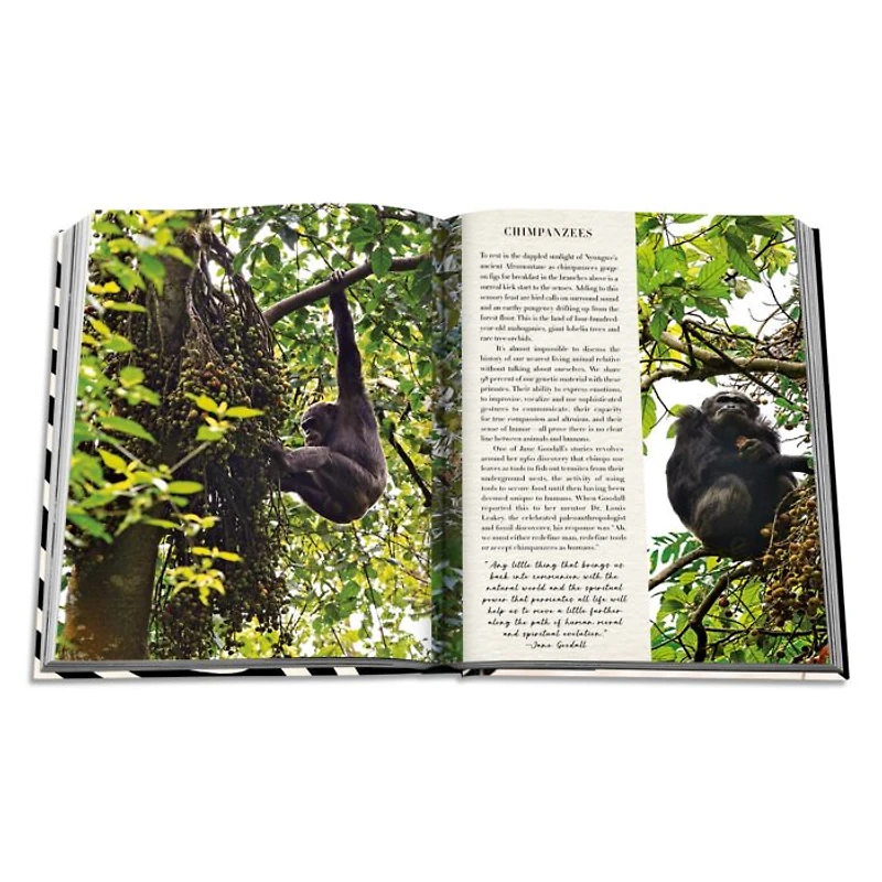 African Adventures: The Greatest Safari on Earth