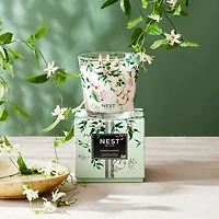 Indian Jasmine Specialty 3-Wick Candle