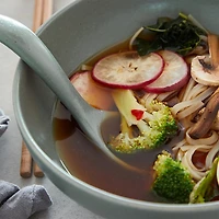 Costa Nova Pacifica Stoneware Ramen Bowl Set