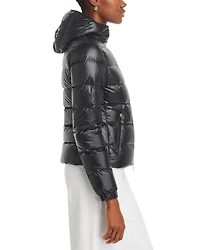 Gles Hooded Down Puffer Jacket