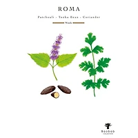 My First Baobab Roma Candle, 6.7 oz.