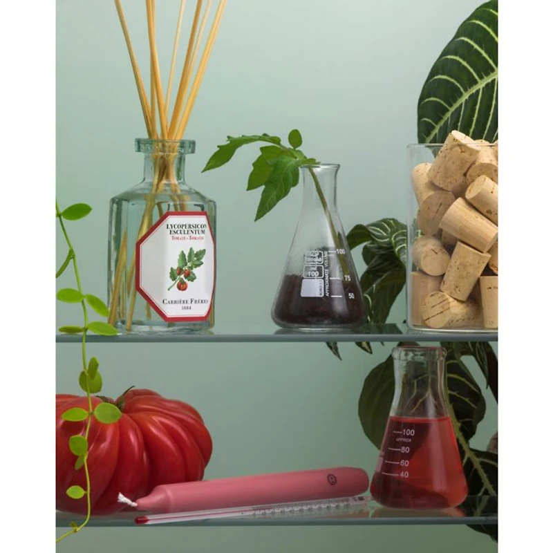 Tomato Diffuser, 6.4 oz.